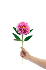 Load image into Gallery viewer, Zinnia Stem
