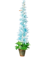 Load image into Gallery viewer, Delphinium Plant
